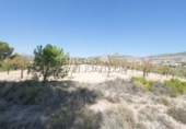 Non-developable land for sale in Novelda ref: TR339741 photo