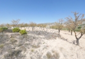 Non-developable land for sale in Novelda ref: TR339741 photo