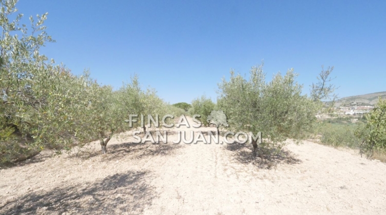 Alicante - Ibi - 6000m2