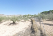 Non-developable land for sale in Novelda ref: TR339741 photo