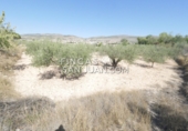 Non-developable land for sale in Novelda ref: TR339741 photo