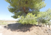 Non-developable land for sale in Novelda ref: TR339741 photo