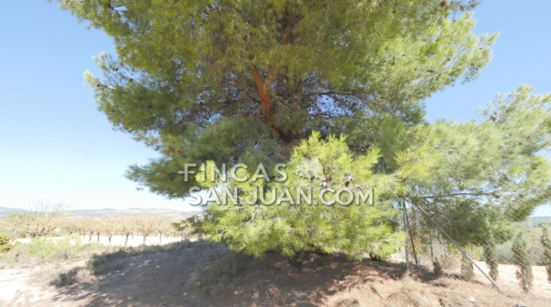 Alicante - Ibi - 6000m2
