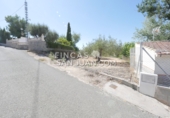 Non-developable land for sale in Novelda ref: TR339741 photo