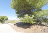Non-developable land for sale in Novelda ref: TR339741 photo