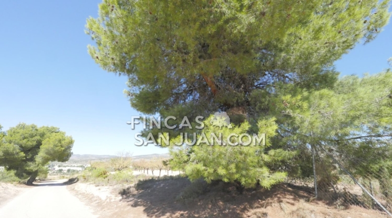 Alicante - Ibi - 6000m2