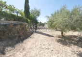 Non-developable land for sale in Novelda ref: TR339741 photo