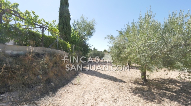 Alicante - Ibi - 6000m2