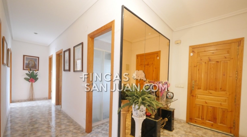 Alicante - Mutxamel - 1039m2