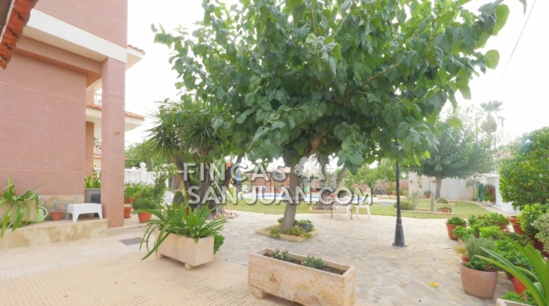 Alicante - Mutxamel - 1039m2