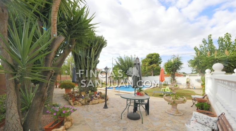 Alicante - Mutxamel - 1039m2