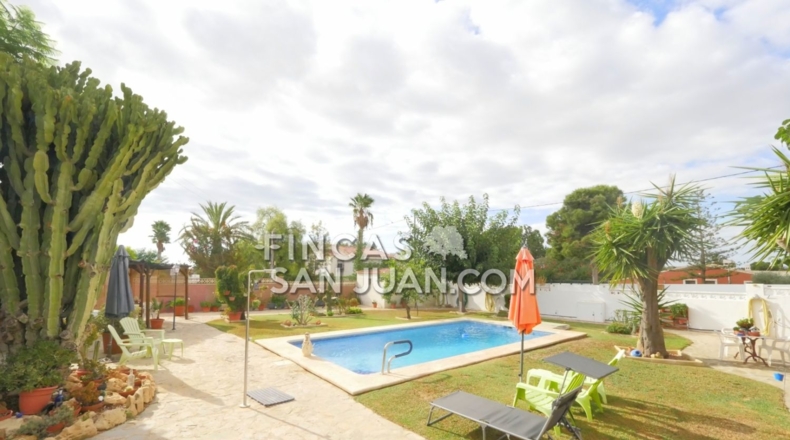 Alicante - Mutxamel - 1039m2