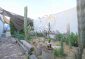 Chalet independiente con terreno en venta en Mutxamel ref: TR350849 foto