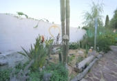 Chalet independiente con terreno en venta en Mutxamel ref: TR350849 foto