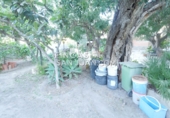 Xalet independent amb terreny en venda a Sant Joan d'Alacant ref.: TR363852 foto