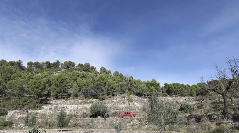 Alicante - Torremanzanas - 400000m2