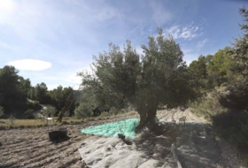 Torremanzanas 400000&nbsp;m²