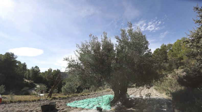 Alicante - Torremanzanas - 400000m2