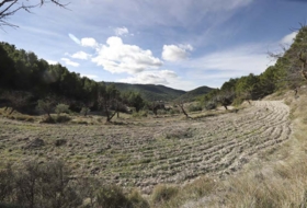 Torremanzanas 400000&nbsp;m²