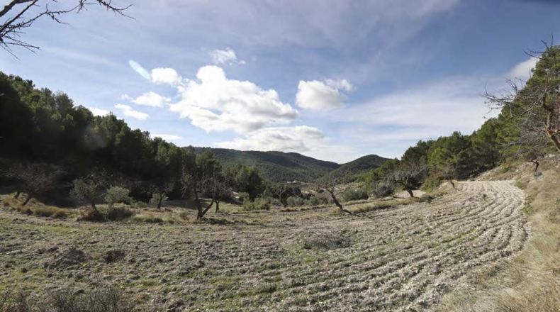 Alicante - Torremanzanas - 400000m2