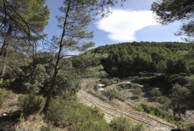 Torremanzanas 400000&nbsp;m²