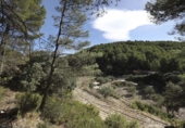 Rural estate for sale in Torremanzanas ref: TR371614 photo