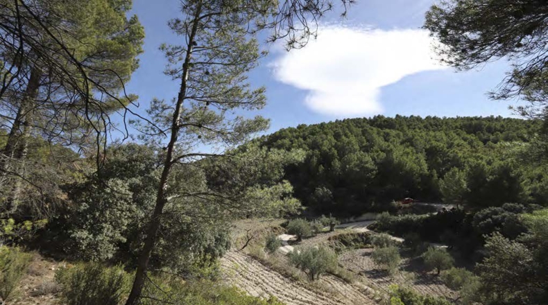 Alicante - Torremanzanas - 400000m2