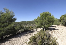 Torremanzanas 400000&nbsp;m²