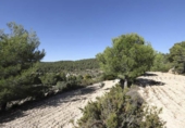 Rural estate for sale in Torremanzanas ref: TR371614 photo