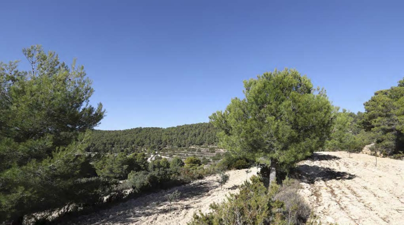 Alicante - Torremanzanas - 400000m2