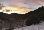 Rural estate for sale in Torremanzanas ref: TR371614 photo