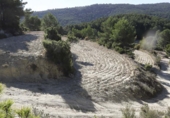Rural estate for sale in Torremanzanas ref: TR371614 photo