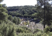 Rural estate for sale in Torremanzanas ref: TR371614 photo