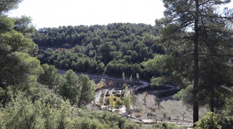 Alicante - Torremanzanas - 400000m2