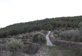 Torremanzanas 400000&nbsp;m²
