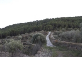 Rural estate for sale in Torremanzanas ref: TR371614 photo