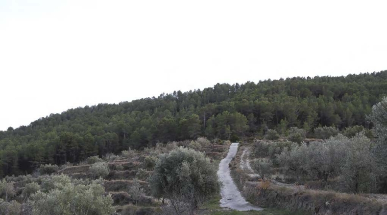 Alicante - Torremanzanas - 400000m2