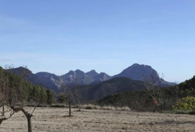Torremanzanas 400000&nbsp;m²