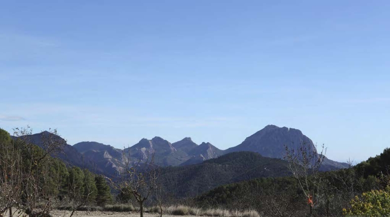 Alicante - Torremanzanas - 400000m2