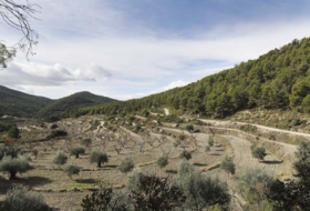 Torremanzanas 400000&nbsp;m²