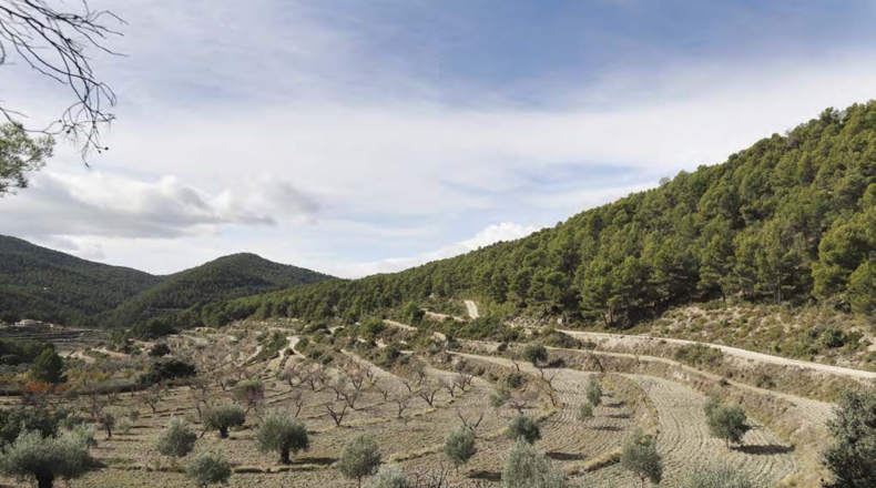 Alicante - Torremanzanas - 400000m2