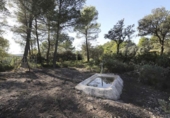 Rural estate for sale in Torremanzanas ref: TR371614 photo