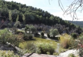 Rural estate for sale in Torremanzanas ref: TR371614 photo