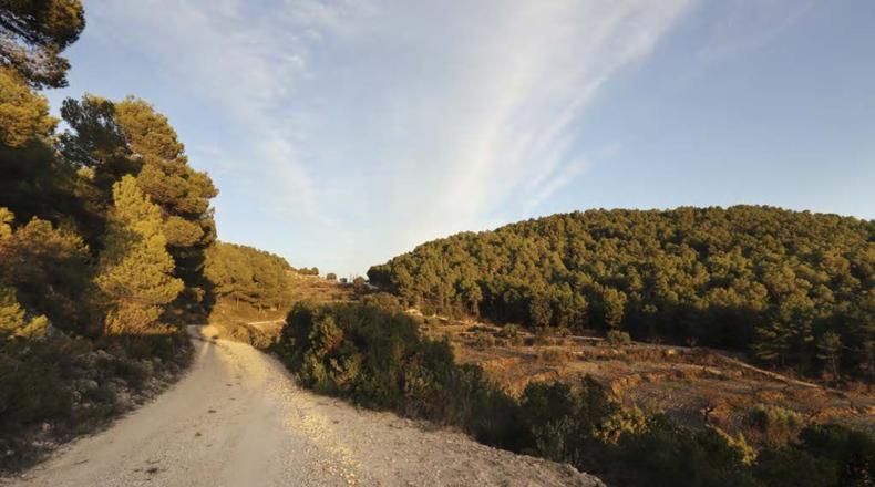 Alicante - Torremanzanas - 400000m2