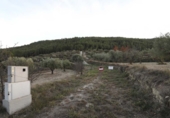 Rural estate for sale in Torremanzanas ref: TR371614 photo