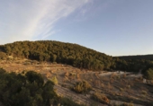 Rural estate for sale in Torremanzanas ref: TR371614 photo