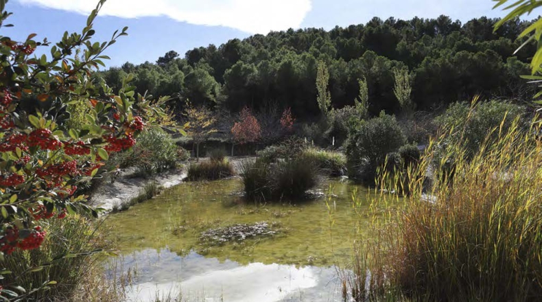 Alicante - Torremanzanas - 400000m2