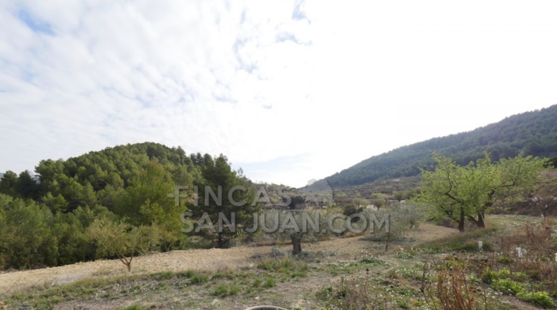 Alicante - Torremanzanas - 37252m2