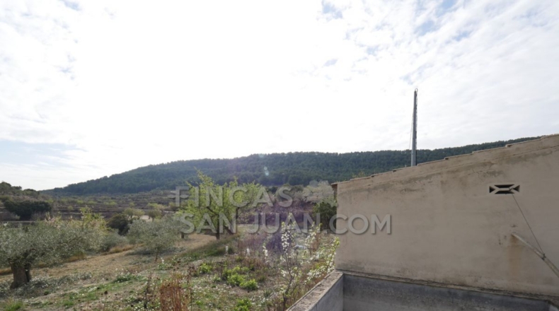 Alicante - Torremanzanas - 37252m2