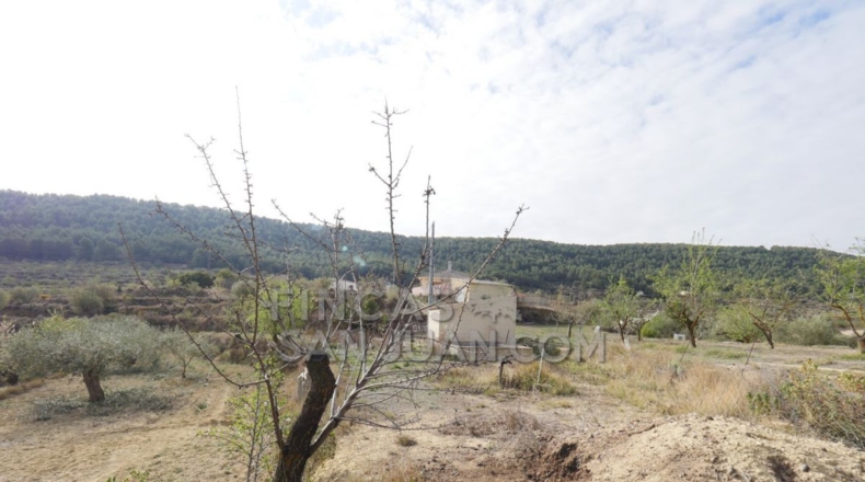 Alicante - Torremanzanas - 37252m2
